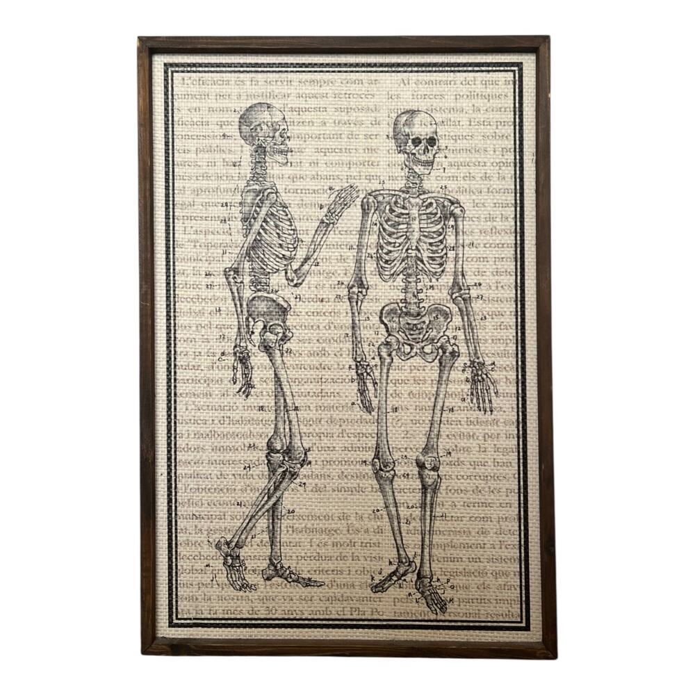 Vintage Style Anatomy Skeleton Art Print Framed Wall Decor 16x24